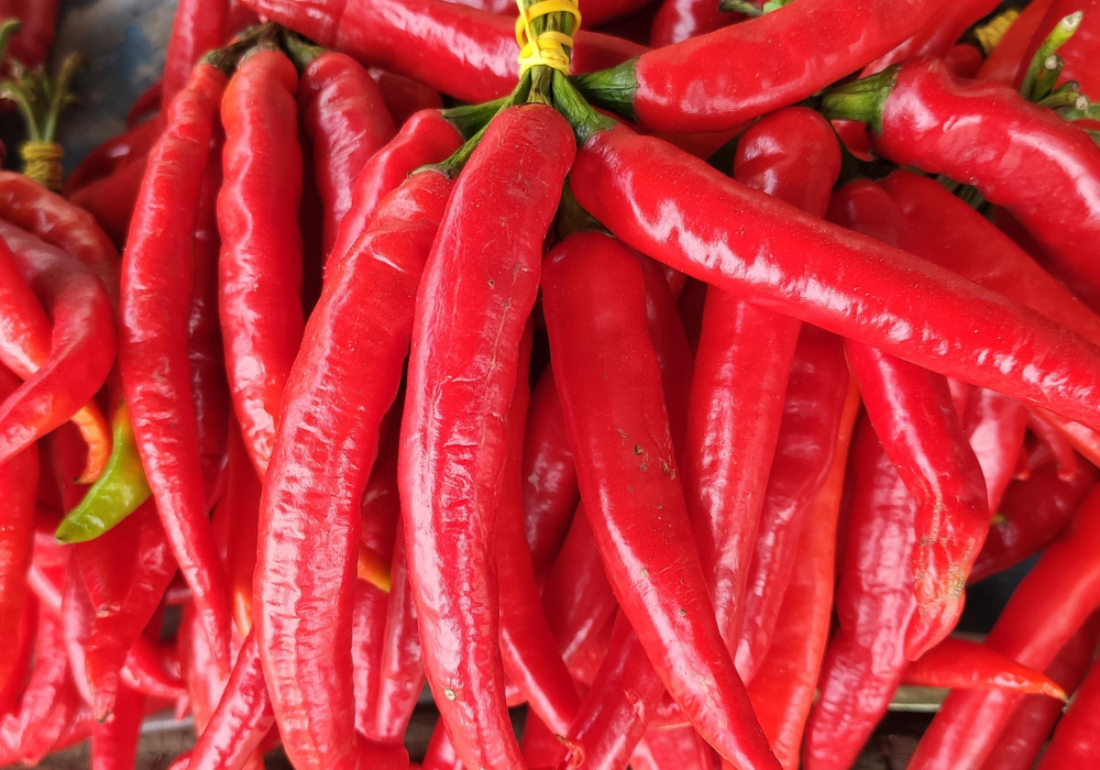 Custom Spice Blends: How Tailored Flavors Give Your Brand an Edge